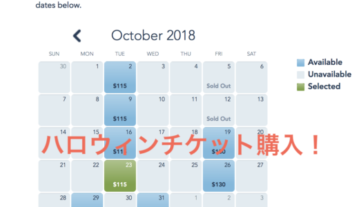 1歳児と行くDLR旅行記2018 Part8 買い方は簡単！ハロウィンパーティのチケットを購入しました！！