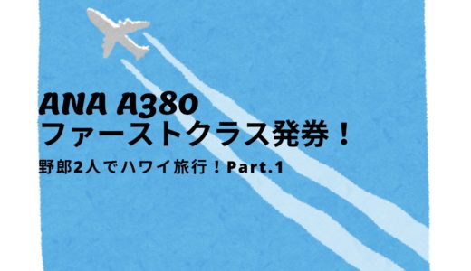 野郎2人で海外行くよ！1万円のハワイ旅行 Part.1