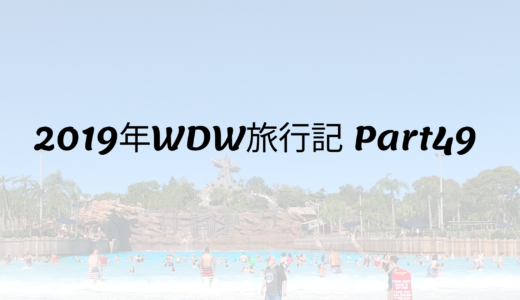 2019年WDW旅行記 Part49 初めてのタイフーンラグーンビーチ！ウォーターパークは超楽しい‼︎その②