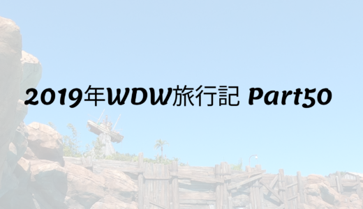 2019年WDW旅行記 Part50 初めてのタイフーンラグーンビーチ！ウォーターパークは超楽しい‼︎その③