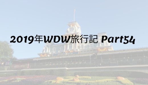 2019年WDW旅行記 Part54 最終日…マジックキングダムへ