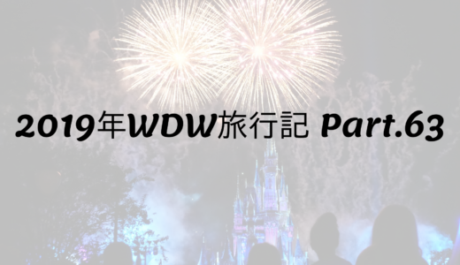 2019年WDW旅行記 Part63 マジックキングダムフィナーレ