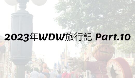 2023年WDW旅行記 Part.10 雨上がりのマジックキングダム